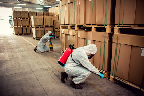 Best Affordable Pest Control Services  in Rupert, WV