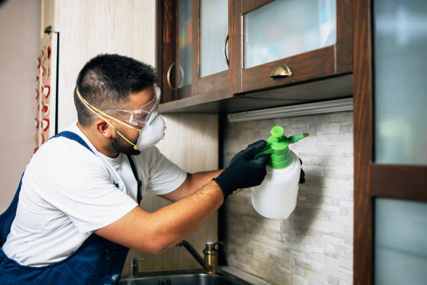 Best Residential Pest Control  in Rupert, WV