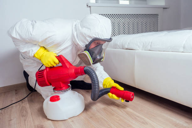 Best Local Pest Control Services  in Rupert, WV