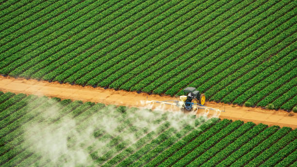 Best Commercial Pest Control Services  in Rupert, WV