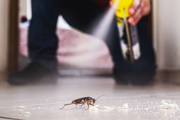 Best Commercial Pest Control Services  in Rupert, WV